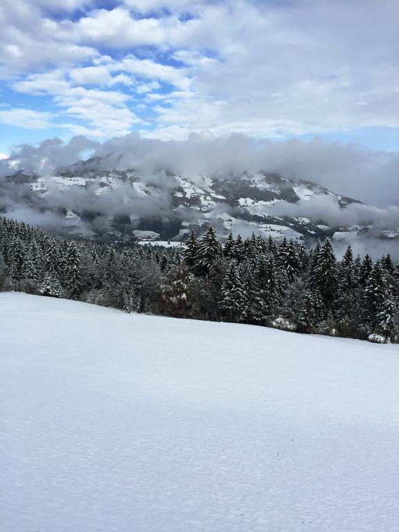 Panorama Villa Victoria Hopfgarten im Brixental Eksteriør billede