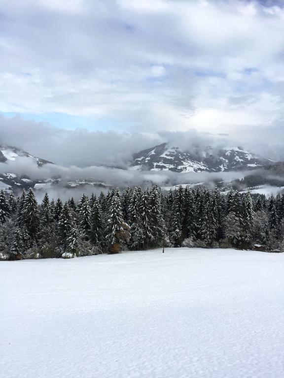 Panorama Villa Victoria Hopfgarten im Brixental Eksteriør billede